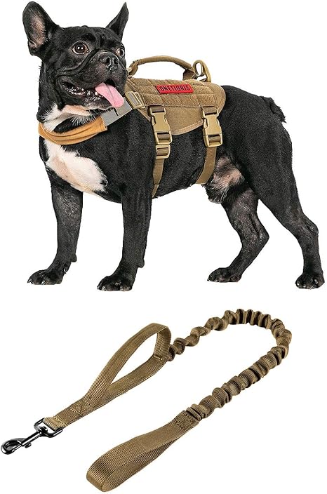 dog training harness amazon