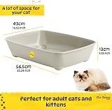 Cat Centre Grey Jumbo Open Cat Litter Tray 56cm XL Open Top Pan view 4
