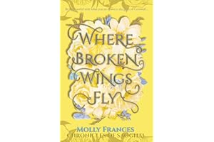 Where Broken Wings Fly