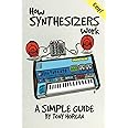 How Synthesizers Work: A Simple Guide (Simple Guides)