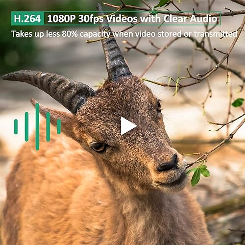 Meidase S3 Pro Trail Camera 32MP 1080P with Advanced Night Vision