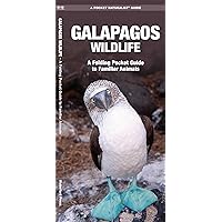 Galapagos Wildlife: A Folding Pocket Guide to Familiar Animals (Wildlife and Nature Identification)