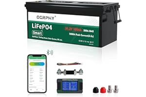 OGRPHY 48V 100AH Lithium Golf Cart Battery with LCD Monitor, 5.12kWh 48V Golf Cart Battery with 1000A Peak Current, 5000+ Deep Cycles for Golf Cart, Solar, RV and Off Grid Applications