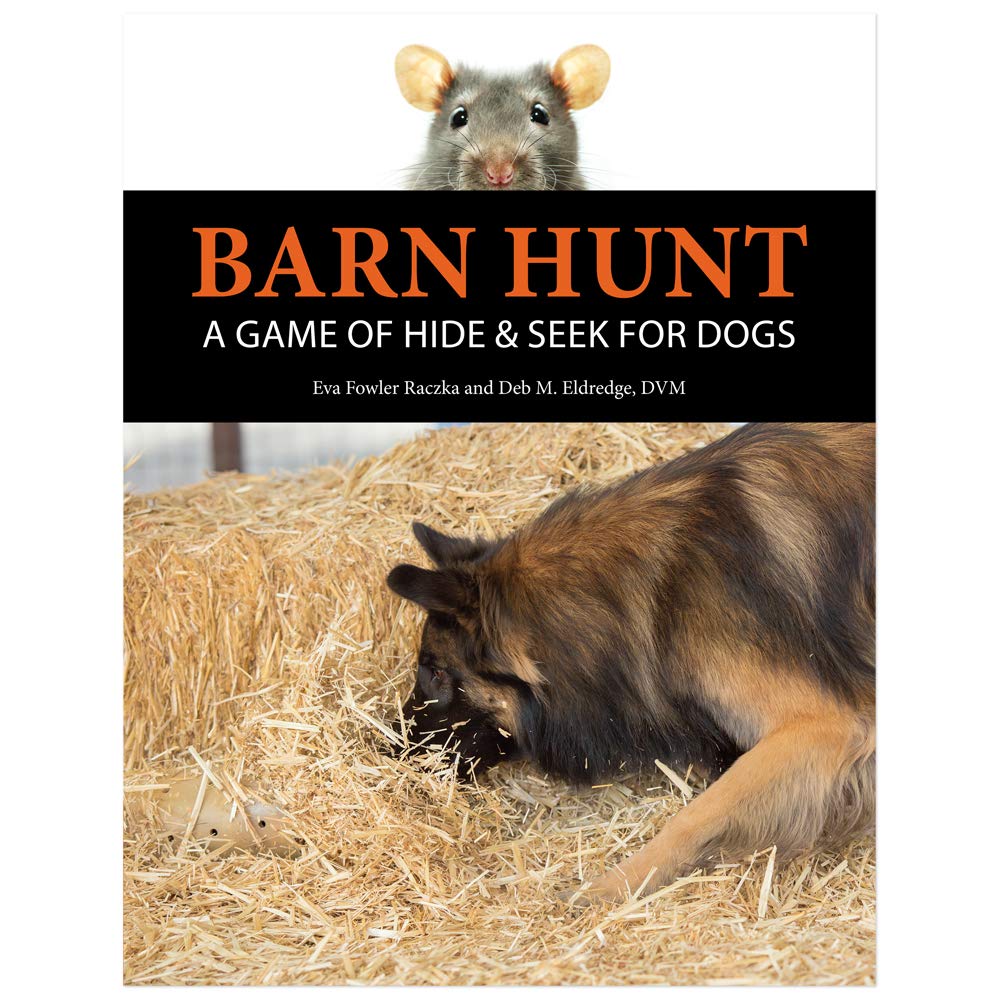 Barn Hunt A Game Of Hide Seek For Dogs Eva Fowler Raczka Dvm