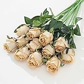 LILUYTO 12Pcs Realistic Fake Champagne Roses Faux Flowers with Long Stems, Artificial Silk Rose Flowers for Valentines Day Home Wedding Decor Bridal Bouquet