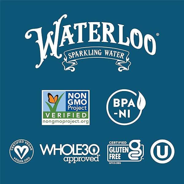 WATERLOO SPARKLING WATER, ORANGE VANILLA NATURALLY FLAVORED, 12 FL OZ CANS (PACK OF 12) – ZERO CALORIES AND ZERO SUGAR OR SWEETENERS