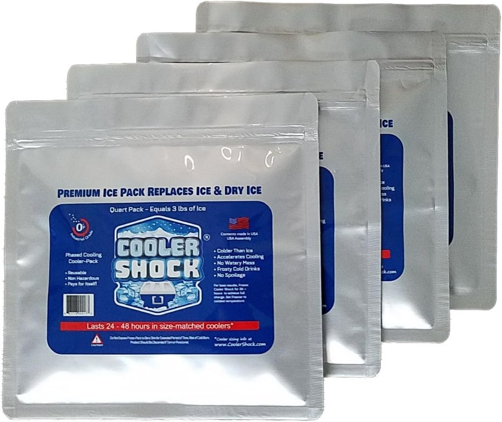 4 Mid-Size Cooler Freeze Packs 10" x 10” The Coldest Pack at 18 Degrees F. No More Ice! Reusable. You Add Water & Save! - C.S. Brand Packs Have Over 4,000 Reviews Averaging 4.6 Stars - Safe USA Made