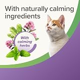 Beaphar StressLess Herbal Calming Cat Treats 35g Chicken Flavour view 6
