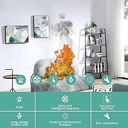 Optical Smoke Alarm with Advanced Photoelectric