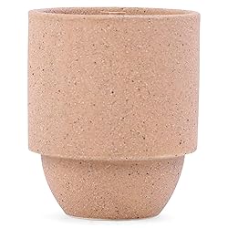 Paddywax Parks Scented Candle in Reusable Textured