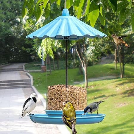Amazon Com More Birds Hummingbird Feeder Enjoy Clear View Wild