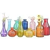 Eleganttime Bud Vases for Flowers,Glass Colored Bud Vase in Bulk Set of 10,Small Vintage Vase Bottle for Wedding Decorations,Garden and Home Decor,Centerpieces,Colorful Mexican Décor
