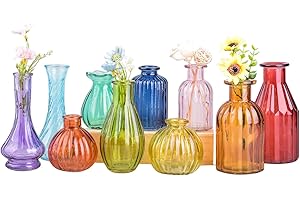 Eleganttime Bud Vases for Flowers,Glass Colored Bud Vase in Bulk Set of 10,Small Vintage Vase Bottle for Wedding Decorations,Garden and Home Decor,Centerpieces,Colorful Mexican Décor