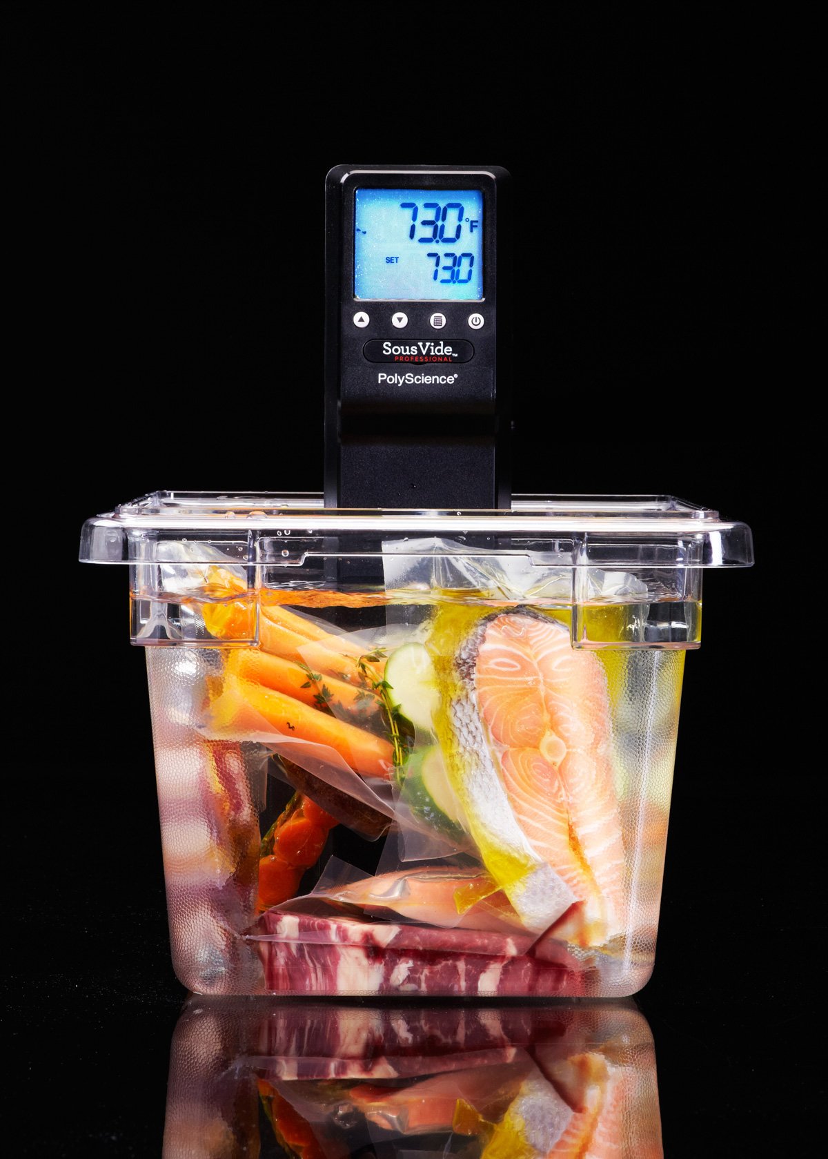 PolyScience CHEF Series Sous Vide Commercial Immersion Circulator Buy