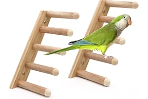 DVHEY 2 Pcs Five Steps Bird Ladder Climbing Perch Stand,Parrot Chewing Trimming Natural Wood Perches Toy,Hamster Toys,Small Medium Animal for Cage Accessories (Ladder-5 step-2p)