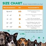 BENCMATE Protective Inflatable E-Collar for Dogs Cats Large view 4