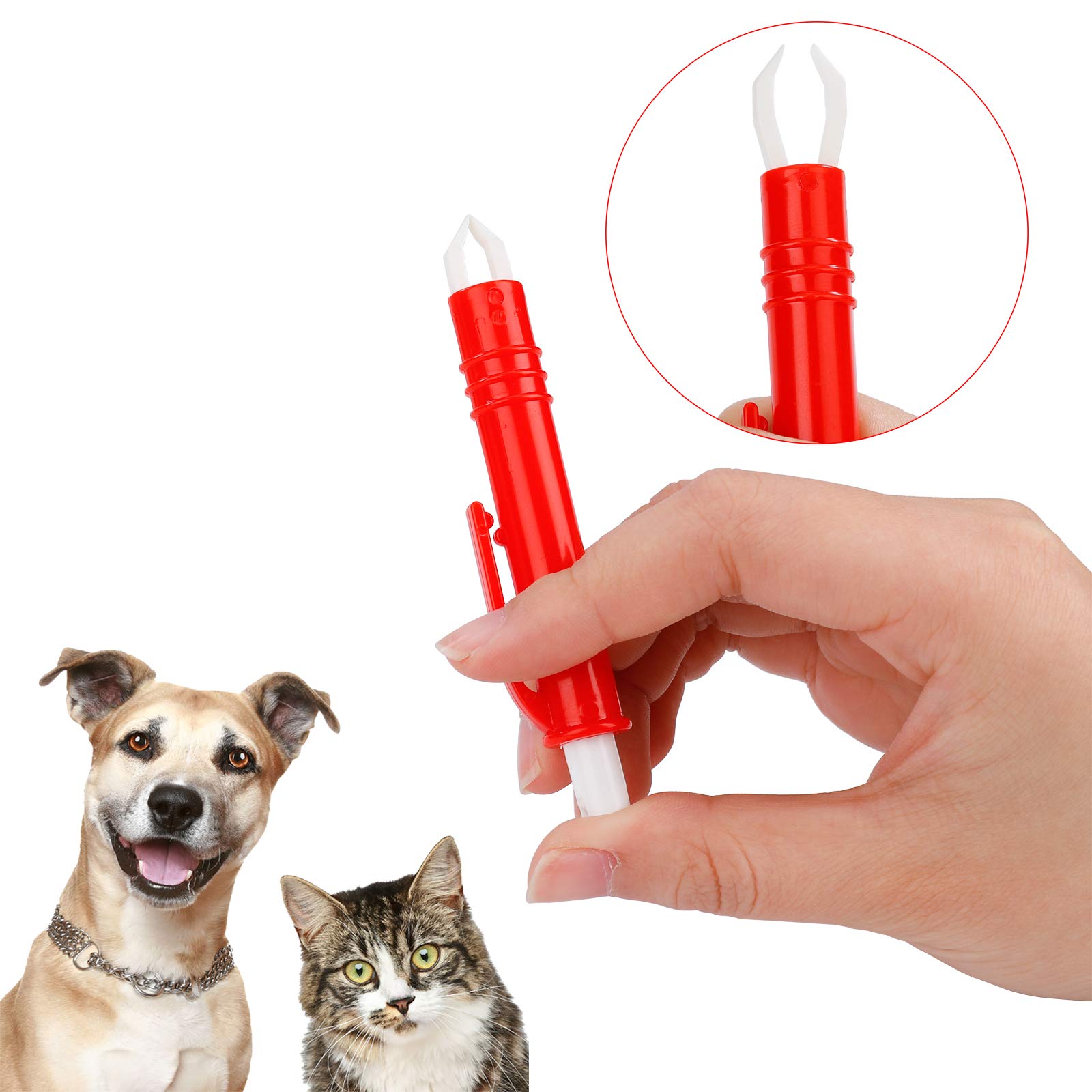 View 3