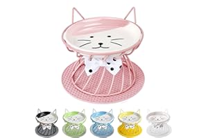 TRUNDISAN Raised Pet Food and Water Bowl, Cat and Small Dog Bowl, Tilted Ceramic Cat Water Bowl No Spill,15oz, Dishwasher Safe