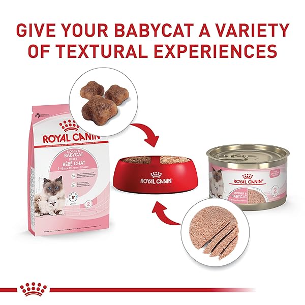 ROYAL CANIN FELINE HEALTH NUTRITION MOTHER & BABYCAT QUEEN DRY CAT FOOD, 6 LB BAG