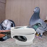 Pigeon Holder Feeding Fixer Parakeet Supplies for Racing Birds view 4