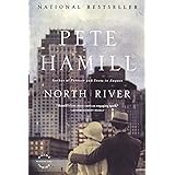 North River: A Novel
