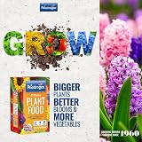 Phostrogen All Purpose Plant Food 2kg Fertiliser for Garden Indoor Edibles view 2