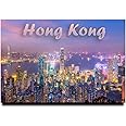 Hong Kong Photo Fridge Magnet Kowloon Travel Souvenir HKSAR China