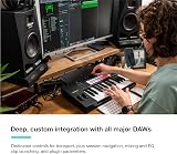 Novation Launchkey 25 MK4 Compact 25 Key USB MIDI Controller with DAW view 3