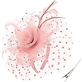 DRESHOW Fascinators Hat Feather Headband Women's Fascinators Tea Party Headwear with Clip Flower Head Band for Girls & Women