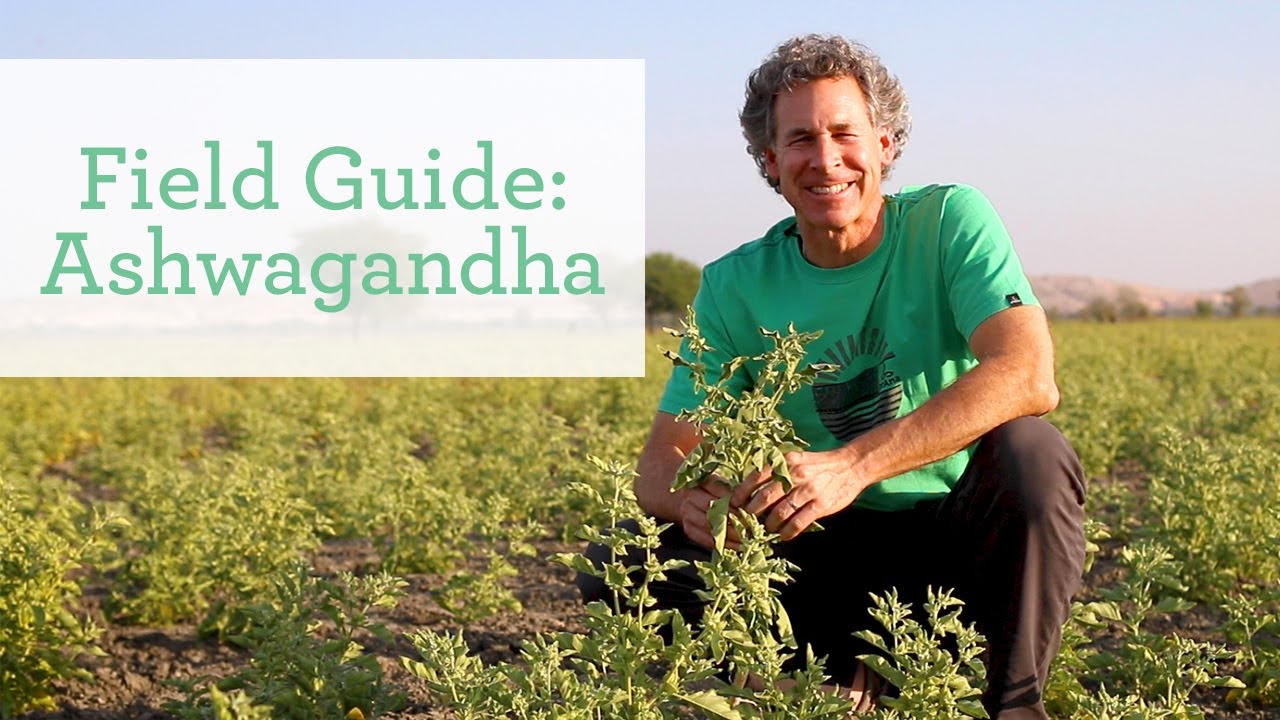 6 Banyan+Botanicals+Ashwagandha+Tablets+Adaptogenic