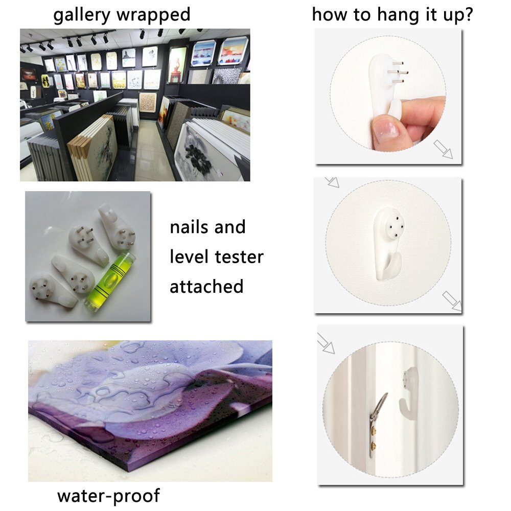 https://images-na.ssl-images-amazon.com/images/I/71Gb8xyxu+L.jpg