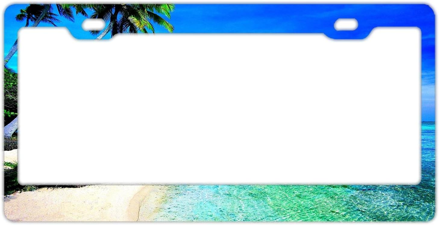 FunnyLpopoiamef Custom License Plate Frames Tropical Beach Leaves,Premium Quality Stainless Steel License Plate Covers for US Vehicles
