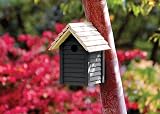 Ronseal Garden Paint Black Bird 750ml GPBLKB750 Garden Paint view 9