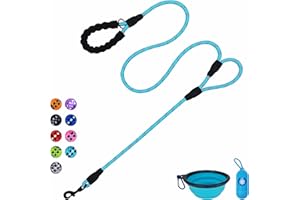 VOZRELS Dog Leash Heavy Duty 6ft, Double Handle Dog Leash with Padded Handle for Traffic Control, Reflective Rope Leashes for Large and Medium Dogs Control Safety Training at Night (Baby Blue)