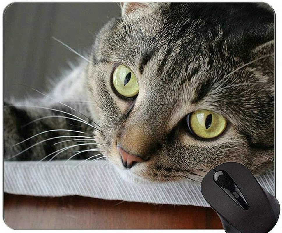 Amazon マウスパッド ブリティッシュショートヘア猫の若い若い猫のマウスパッドのカスタマイズ ステッチされたエッジを持つ猫のマウスパッド Yanteng マウスパッド 通販 Amazon マウスパッド ブリティッシュショートヘア猫の若い若い猫のマウスパッドのカスタマイズ ステッチされたエッジを持つ猫のマウスパッド Yanteng マウスパッド 通販