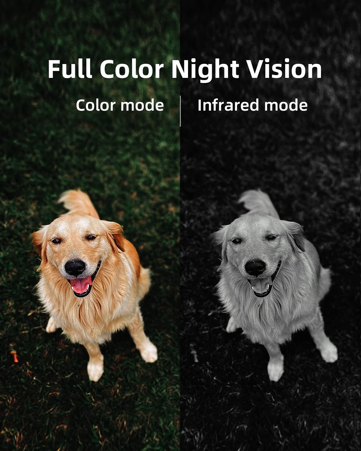 Noorio Home Security System with B200 1080p Wireless Security Camera x1, Solar Panel x1, AI Motion Detection WiFi Indoor Camera, Color Night Vision, 2-Way Talk, Compatible with Alexa