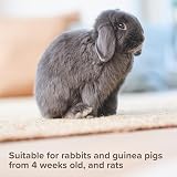 Beaphar Anti-Mange Spray for Rabbits Guinea Pigs Rats 75ml Vet-Strength view 4