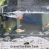 FANTIAN White Stones 4lbs 6-9 mm for Plants Decor Garden Pebbles view 5