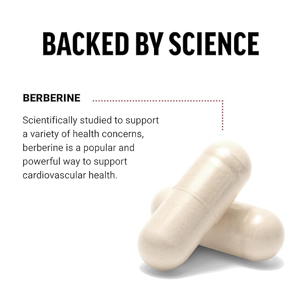 FORCE FACTOR BERBERINE 500MG SUPPLEMENT, CARDIOVASCULAR SUPPORT SUPPLEMENT, SUPPORTS HEART HEALTH, PREMIUM QUALITY, VEGAN, NO GELATIN, NON-GMO, 60 VEGETABLE CAPSULES