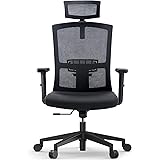 NOBLEWELL Office Chair Ergonomic Office Chair Lumbar Support, Mesh Computer Chair Back Support, Ergonomic Mesh Chair with Roc