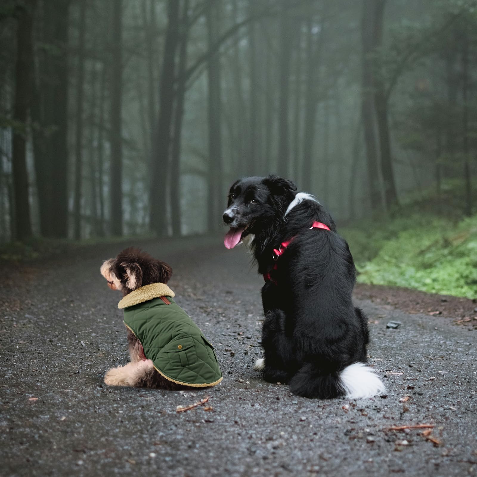 View 6
