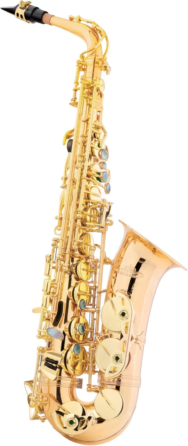 Saxofón alto Lechgold barnizado LAS20GM Amazon.es Instrumentos musicales
