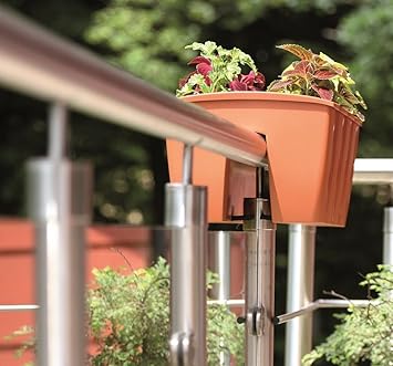 Terra Blumenkasten Crown, terrakotta, 58 cm