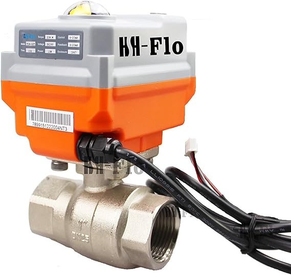 1/2" 24VDC/110VAC/220VAC 420ma/010V DN15 2 Way CF8 CNPT