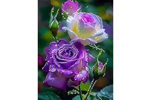 Chlorisium 1000+ Mix Climbing Rose Seeds for Planting Outdoors Ornamental Climbing Flowers Perennial Heirloom Flower Seeds Fr