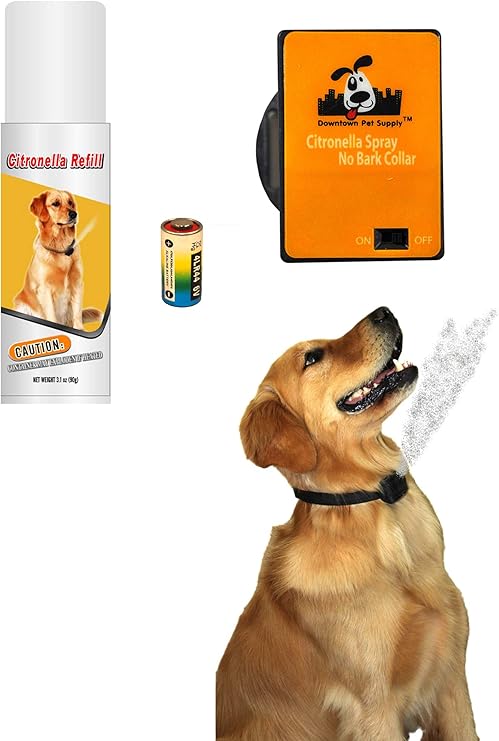 using a bark collar for separation anxiety