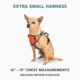 Embark Pets No-Pull Dog Harness Front & Back Leash Clips Adjustable Paw view 2
