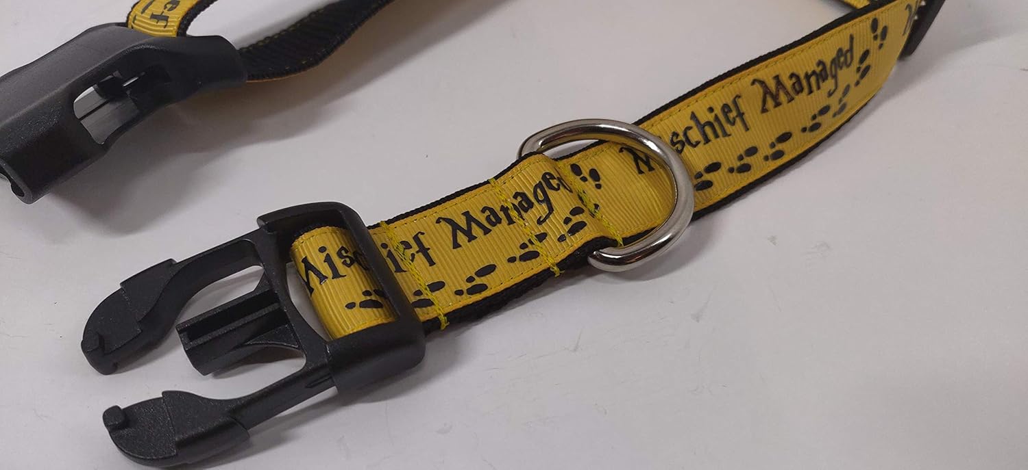 mischief managed dog collar