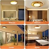 Akynite GR10q 4-Pin 16W CFL Bulb 3500K 950LM Small 13.3x13.3cm Non-Dimmable view 6