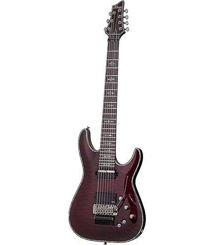 Amazon.com: Schecter Hellraiser C-1 - Black Cherry : Musical